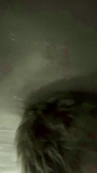 The Fat Man Got Excited and Cummed Twice in the Guy's Mouth.