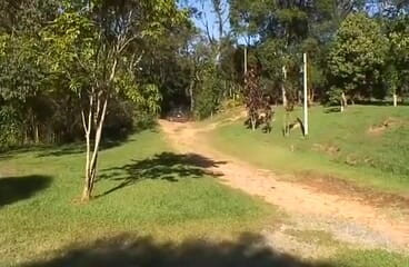 Gay 4 Pleasure: 게이 섹스 야외 쾌락