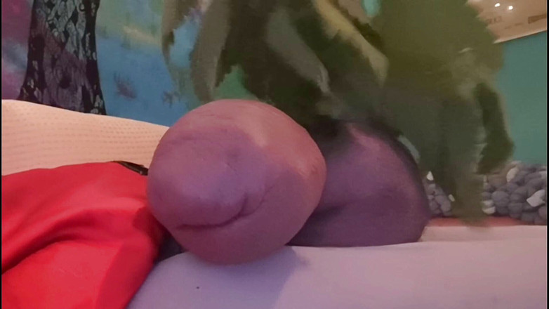 Monster_Meat_: 쐐기풀이 나를 미치게 해줘