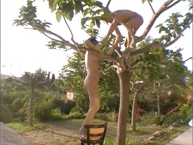 Java Consulting: 수영장 옆에서 따먹히는 음란한 갈색 머리