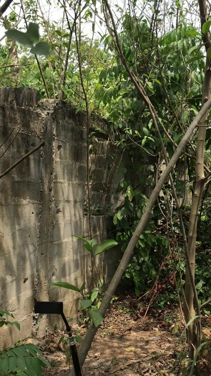 Sexylary: Sex în trei doi tipi cu pula masivă se fut atât...