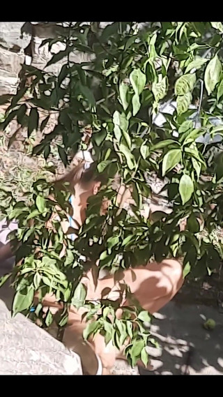 Thumbnail of Happy Halloween