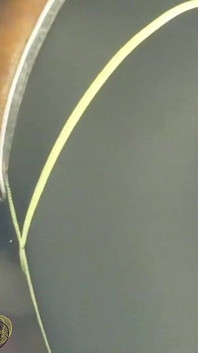 Reite meine 10'''' dildo-eier tief!