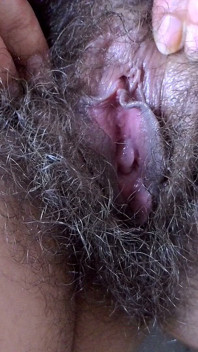 Making Bush Wet