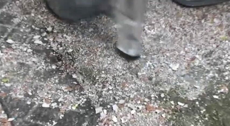 Foot Girls: Classy lady in high heels crushing eggs