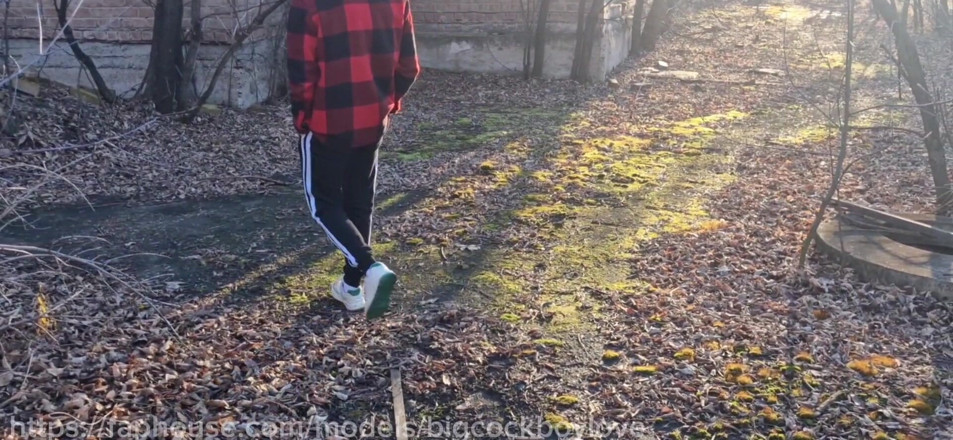 Big cock boy love: I Fucked a Handsome Guy in the Park Without a...