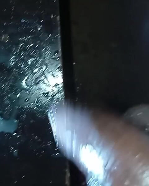 Badman4606: 새비지 거유 흑인 아프리카 자지