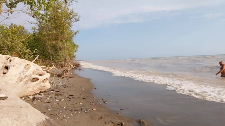 Skin and earth: गोल-मटोल भालू, फटी हुई गीली कच्छी, नग्न समुद्र तट झटका (skinandearth)
