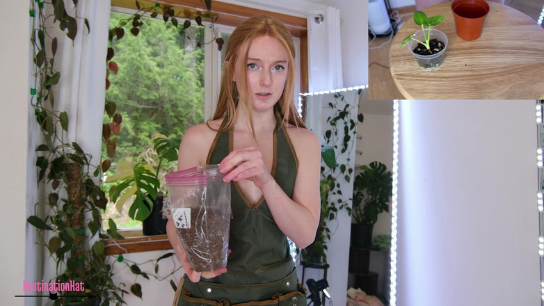 Destination Kat: Giardinaggio con kat- repotting monsteras Sfw