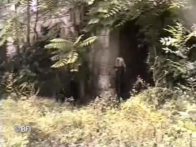 Hardcore Lovers of the world: vinamr DVD