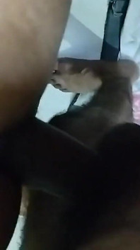 Rekaman seks pasangan lagi asik ngentot posisi gaya doggy bagian 1