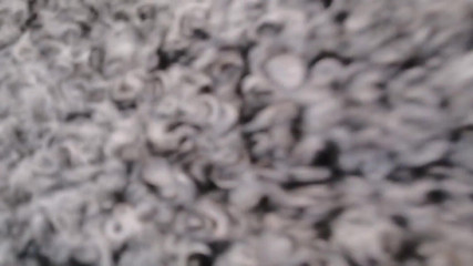Nicoletta Embassi: Ejaculează într-o piață