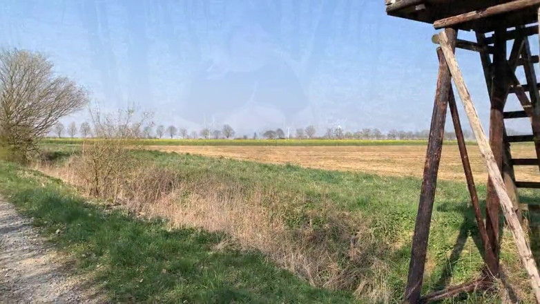 SweetSusi: Naštvaný při chůzi venku