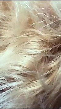 Hot Threesome for the Blonde MILF Slut