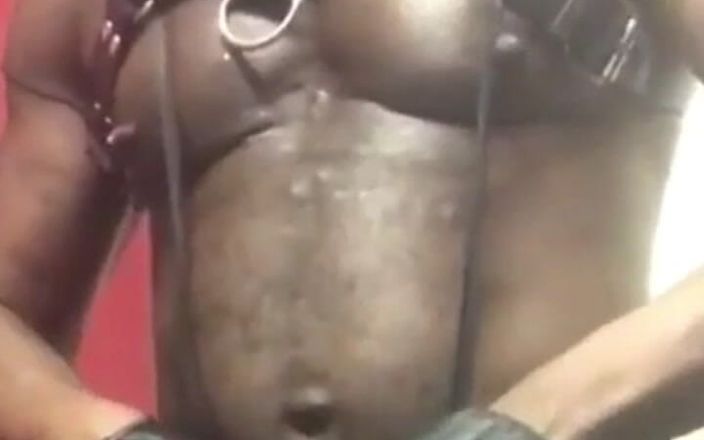 Black smoking muscle stepdad: Cinto de couro, musculosa, vibrando cenas de brinquedo e porra