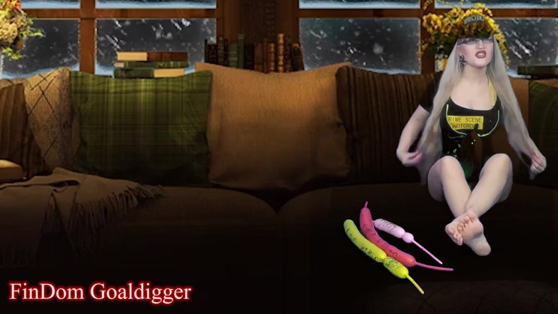 FinDom Goaldigger: Cyber CEI