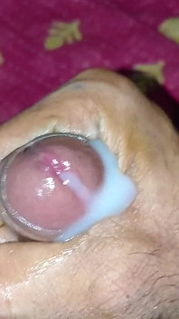 Dasi Video