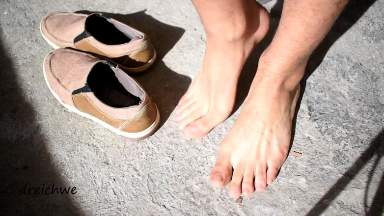 Dreichwe: Pies al sol