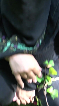 Iranian MILF Risky Outdoor Sex in Tehran