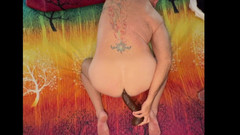 feedmedick: Hump Day Shenanigans