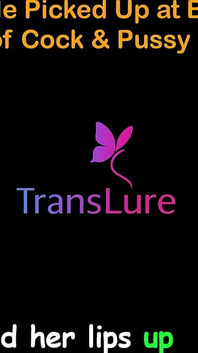 เรื่องเย็ดเสียงภาษาอังกฤษ - สาวสองขี้อายตัวสูงโดนรับตัวมาที่บาร์ - คืนที่เร่าร้อนของควยและหี - ตอน 2