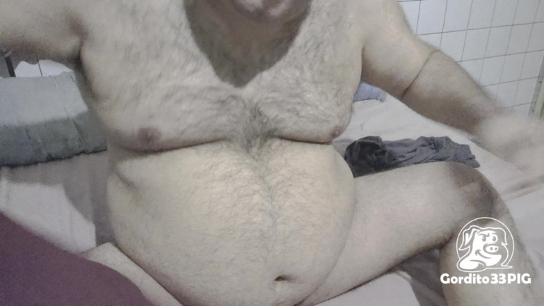 Gordito33PIG: หมูอ้วนเคลื่อนย้ายน้ํามันหมู