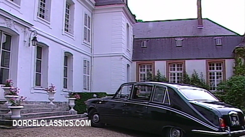 Dorcel classics: A Fortuitous Accident
