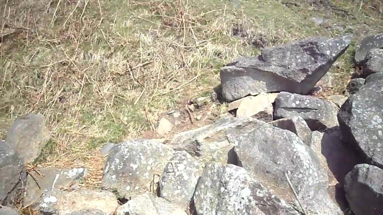 Creampie Clinic: いたずら好きな女の子たちのための24時間のペニス