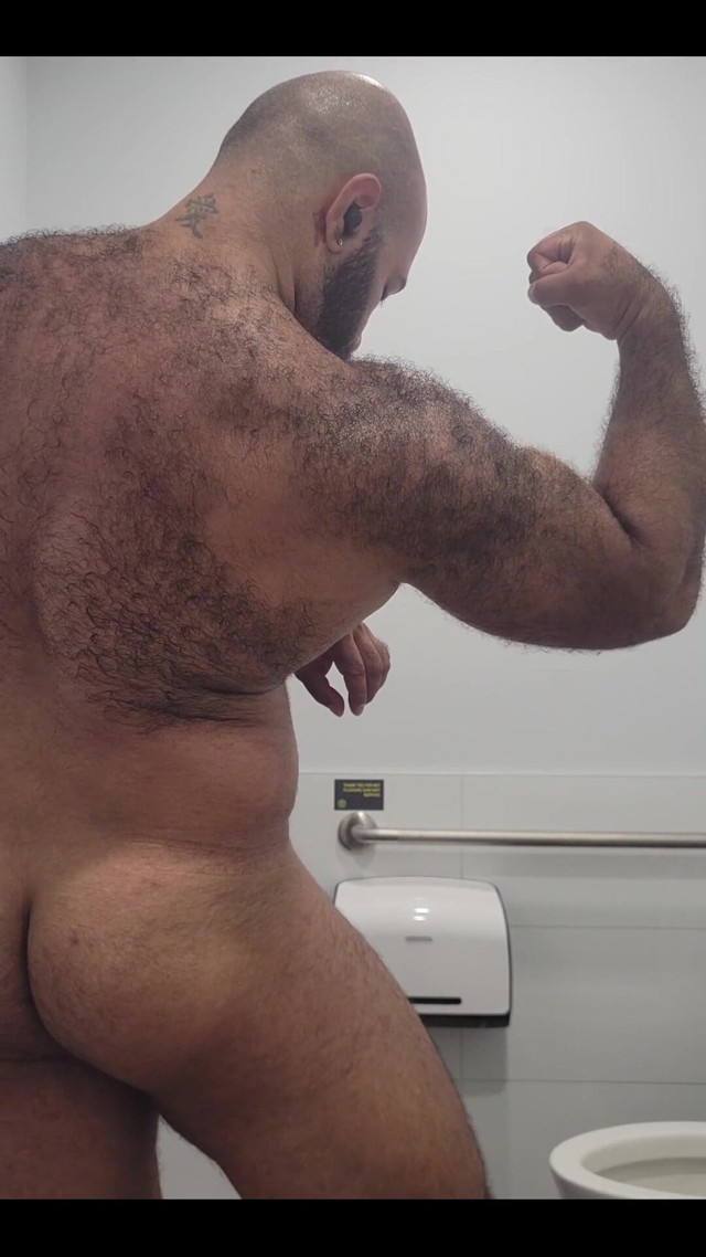 My Ass (Lobo)