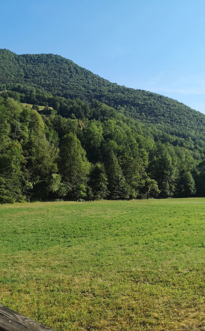 Amadeus: Zpět na Letní sprcha a skvělý výhled