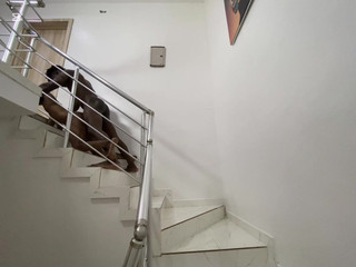 Blackthug20k: Det har gått ett tag