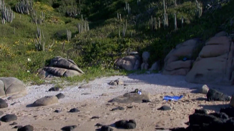 Pervy Studio: Стейсі Саран та її подруги-лесбіянки на автомийці облизують дупу та пестять пизду