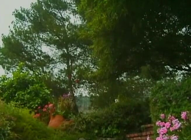 Bareback TV: Sweet vacation of gay couple