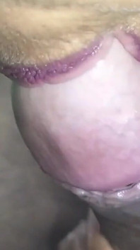 Tamil sex oralny