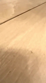Gorgeous Wife Gets Fucked Hardcore in the Kitchen, Couple Fucks Hard in the Kitchen, Hot Couple