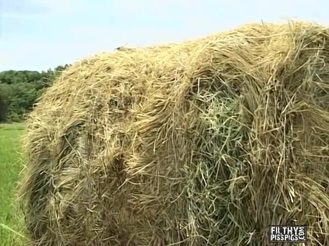 Filthy Piss Pigs: Armată băieți la duș fierbinte cu pișat