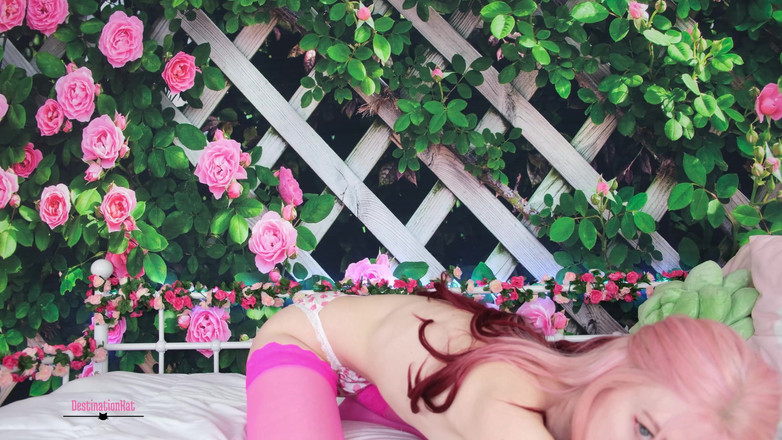 Destination Kat: Rosa kudde humping