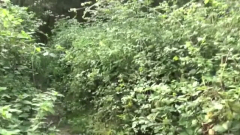 Sex humiliation with french lads: Scopata da striaght in posto esibizionista