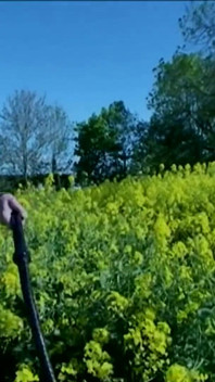 Naughty Farm Girl Double Penetration Tease