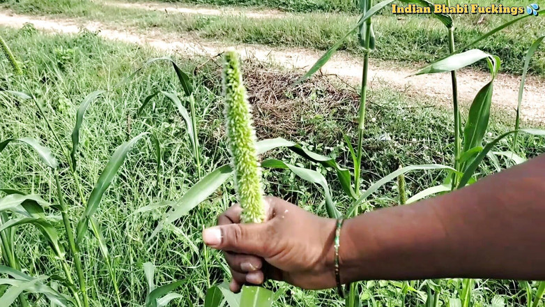 Indianbhabifucking: Sumitha Bhabi aféra soused manžel šuká hardcore relaci Ukazující prsa venkovní...