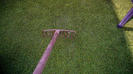 JessieHH: Jessie Hh Video