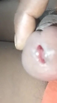 Video con cu của tôi