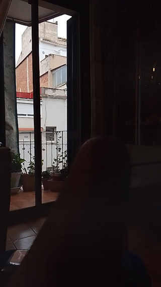 Beehive: Через вікно