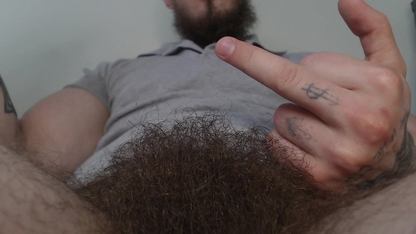 Male Hairy Pubis (Hunky time)