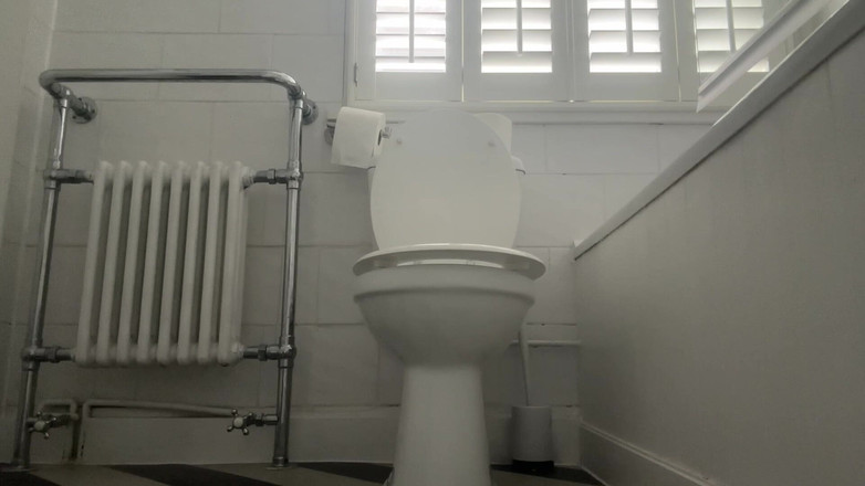 Miss Valentina: トイレの上で射精