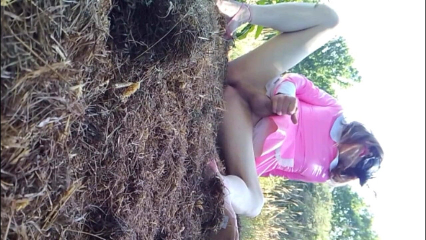 Field Frolic (Barefoot Stables)