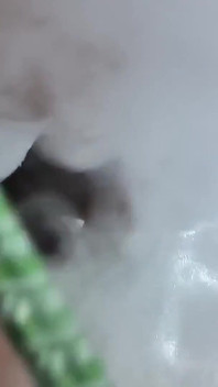 アラブの女の子は水ギセルを吸う
