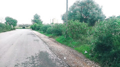 Mayay Thor X: Maya nasedá do cizího autě a šuká ho