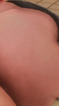 フニー231
