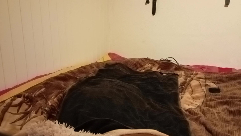 EmilyDWT: Phụ Bückstück